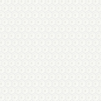 Albany Wallpaper Hexagon 35899-2