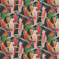 Albany Wallpaper Parrots 823608
