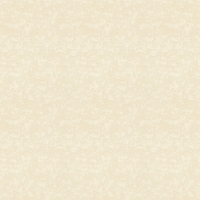 Albany Wallpaper Textured Plaster 639513