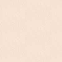 Albany Wallpaper Willow Leaves 552355