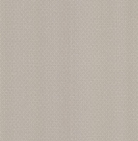 Albany Wallpapers Bindi,  SZ001845