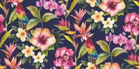 Albany Wallpapers Bird of Paradise,  98432