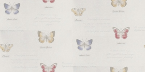 Albany Wallpapers Butterfly Blue,  20454