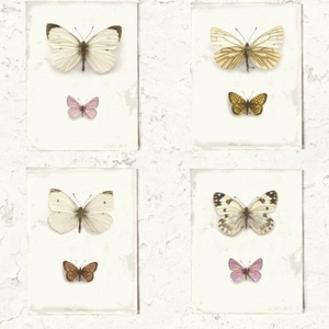 Albany Wallpapers Butterfly Wall,  SD2001