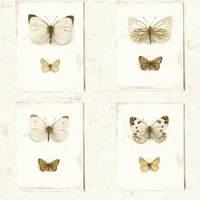 Albany Wallpapers Butterfly Wall,  SD2002