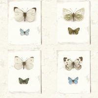 Albany Wallpapers Butterfly Wall,  SD2022