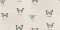 Albany Wallpapers Butterfly White/Blue,  20455