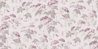 Albany Wallpapers Elderflower,  21522
