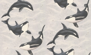Albany Wallpapers Orca,  30053-1