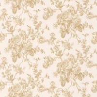 Albany Wallpapers Rose Trail,  21504