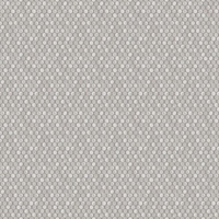 Albany Wallpapers Rubus,  98502