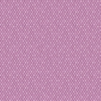 Albany Wallpapers Rubus,  98507