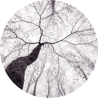 Anaglypta Mural Inside the Trees Set of 3 panels 5413-R