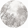Anaglypta Mural Tree Tops Set of 3 panels 5434-R