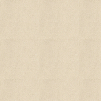 Andrew Martin Wallpaper Grasscloth GR5-BUFF