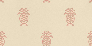 Andrew Martin Wallpapers Columbus Coral,  PN03 - Coral