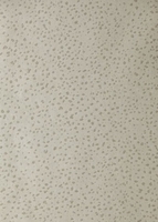 Anthology Wallpapers Foxy Raffia,  110738