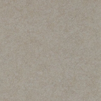 Anthology Wallpapers Shellac Jet,  110786