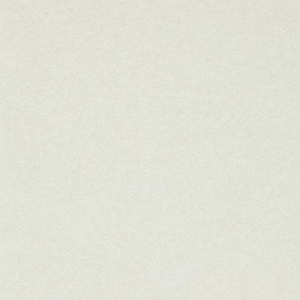Anthology Wallpapers Shellac Parchment,  110784