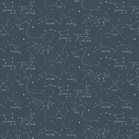 Caselio Wallpaper Constellations 101916918