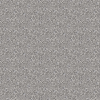Caselio Wallpaper Free Spirit 100541212
