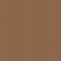 Caselio Wallpaper Uni Mat 103222042