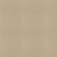 Caselio Wallpaper Uni Mat 104012220
