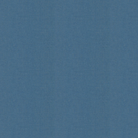 Caselio Wallpaper Uni Metallise Irise 103236250