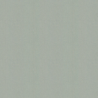 Caselio Wallpaper Uni Metallise Irise 103237000