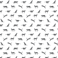 Caselio Wallpaper Wild Forest 101140096