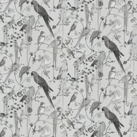 Christian Lacroix Wallpaper Birds Sinfonia PCL7017/08