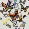 Christian Lacroix Wallpaper Butterfly Parade PCL008/01