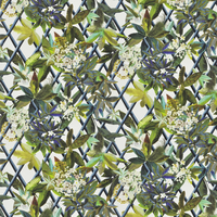 Christian Lacroix Wallpaper Canopy PCL661/07
