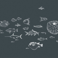 Coordonne Mural Sea Current 9500602
