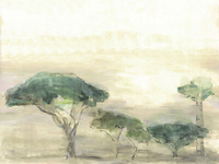 Coordonne Mural Serengueti YSP0271