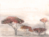 Coordonne Mural Serengueti YSP0272