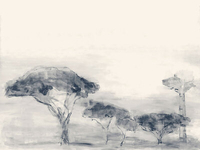 Coordonne Mural Serengueti YSP0273