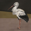 Coordonne Mural Stork Mother 9500300