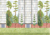 Coordonne Mural Urban Garden 8000076