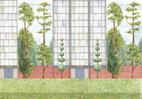 Coordonne Mural Urban Garden 8000076