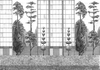 Coordonne Mural Urban Garden 8000077