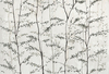 Coordonne Mural Woods 7800996