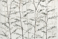 Coordonne Mural Woods 7800996