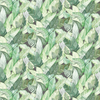 Coordonne Wallpaper Banano 5900021