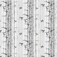 Coordonne Wallpaper Birch Trees 9500040