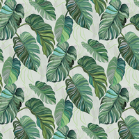 Coordonne Wallpaper Carioca 9200001