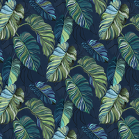 Coordonne Wallpaper Carioca 9200004