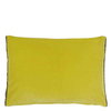 Designers Guild Cushion Cassia Cushion CCDG0447