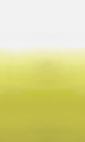 Designers Guild Mural Saraille P600/03