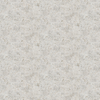 Designers Guild Wallpaper Lustro PDG1025/04
